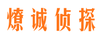 维扬调查事务所